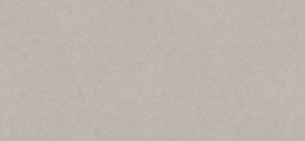 Light Grey Pietra