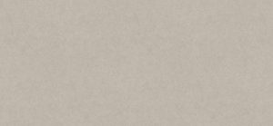 Light Grey Pietra