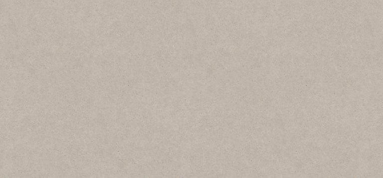 Light Grey Pietra