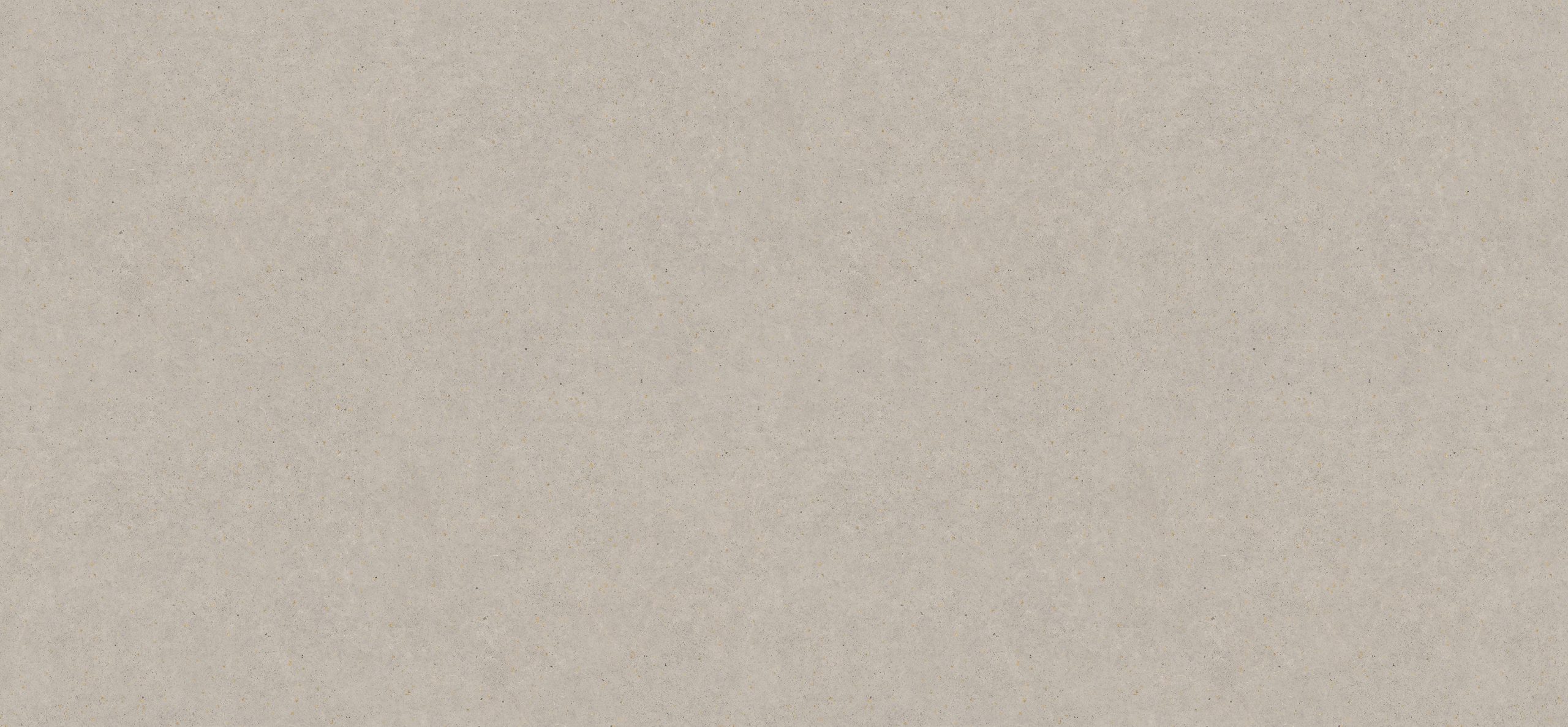 Light Grey Pietra