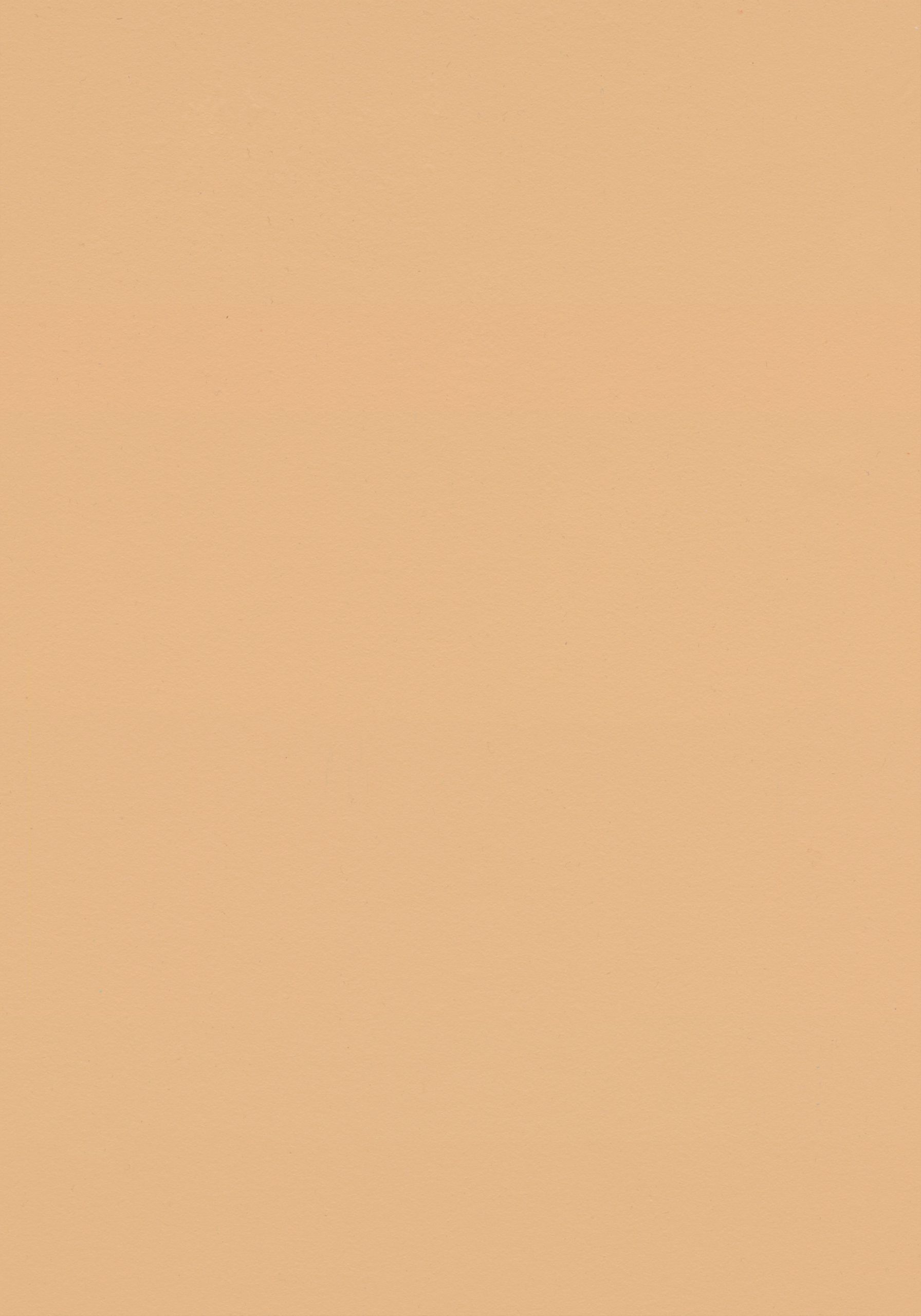 Clay