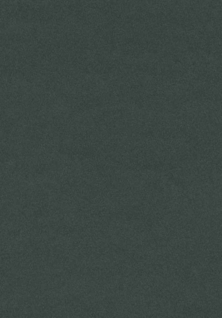 Conifer