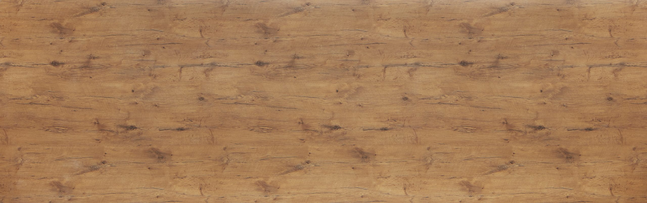 Pale Lancelot Oak
