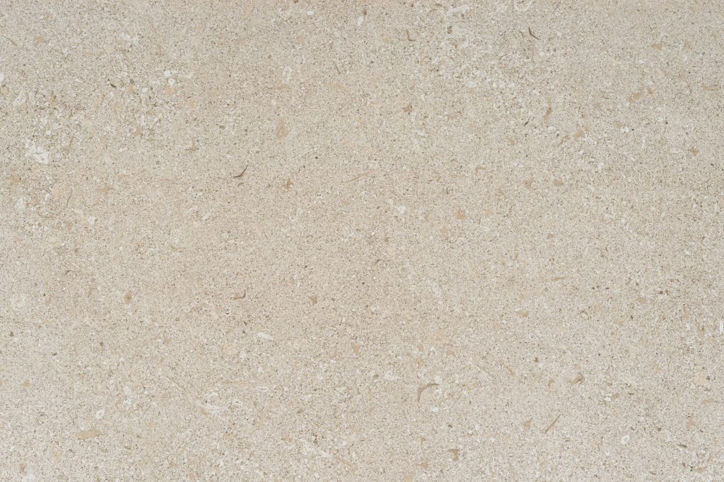 Avorio