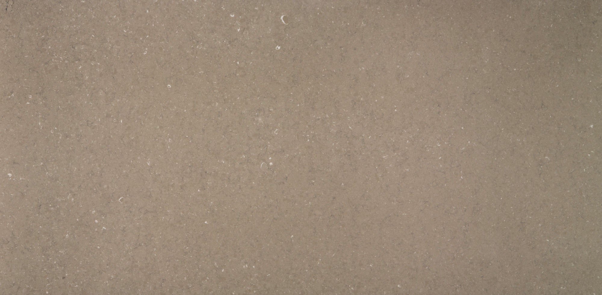 Coral Clay 