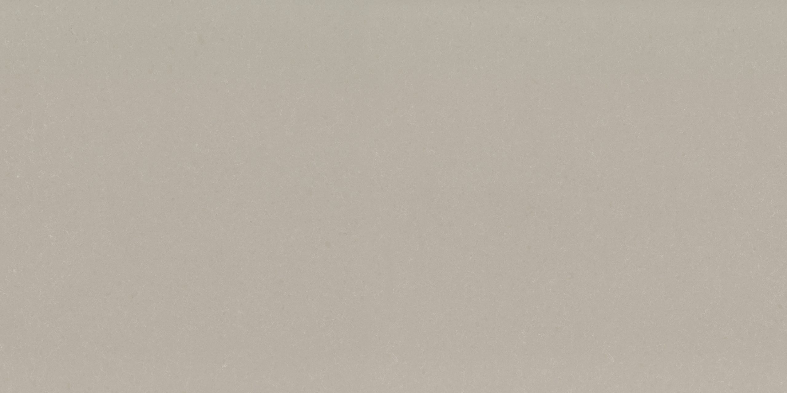 Noble Ivory White