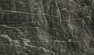 Carnia Grey 