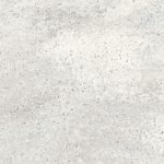 Arrowroot