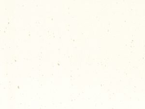 White Jasmine