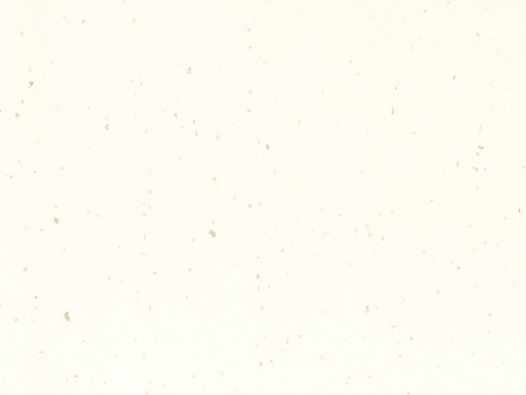 White Jasmine